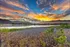 Otay Lakes View