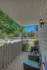 Azalea - Patio