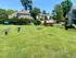 Wiggly Field