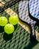 Inviting outdoor pickleball court with paddles and vibrant yellow balls ready for a game.