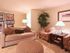 Luxurious Living Room | Arlington VA Apartments | Columbia Park