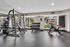 Modern apartment gym featuring high-quality fitness equipment, including weights, a bench press, and an exercise bike, with ample natural light and scenic views.