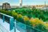 Rooftop view