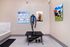 Pet Wash