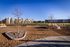 Community Dog Park
