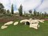 Pet Park