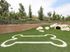 Pet Park