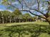 AMLI Toscana Place, exterior, putting green