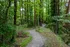 Community nature trail