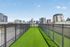 dog park