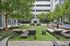 The Indy | Marietta, GA