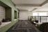 The Indy | Marietta, GA