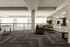 The Indy | Marietta, GA