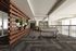 The Indy | Marietta, GA