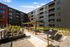 Modern apartment courtyard with stylish seating, lush greenery, and elegant pergola for outdoor relaxation.