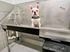 Charming pet-friendly grooming station featuring a white French Bulldog sitting in a sleek stainless steel wash tub.