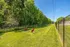 Vibrant dog park with lush green grass, fenced area, and colorful play equipment amidst tall trees.