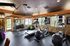Well-equipped apartment gym with cardio machines, free weights, and yoga mats.